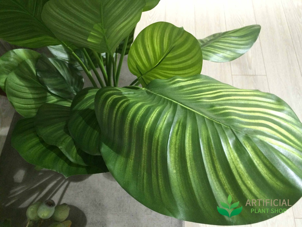 Artificial Calathea Leaves