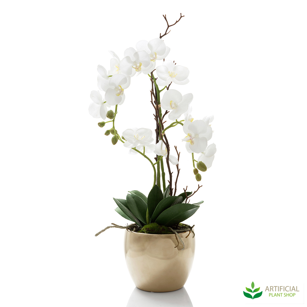 Orchid in Ceramic Gold Pot 60cm