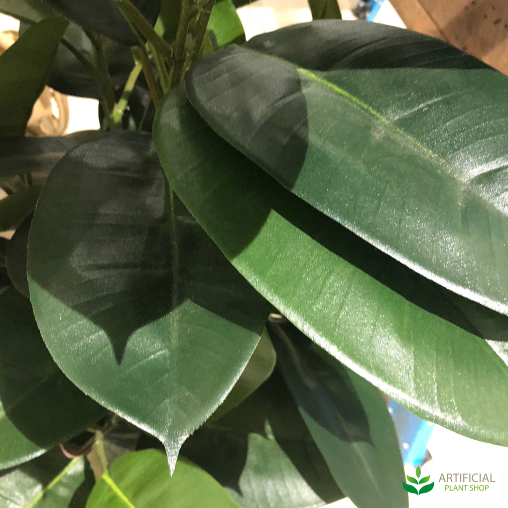 Artificial Rubber Plant Leaves