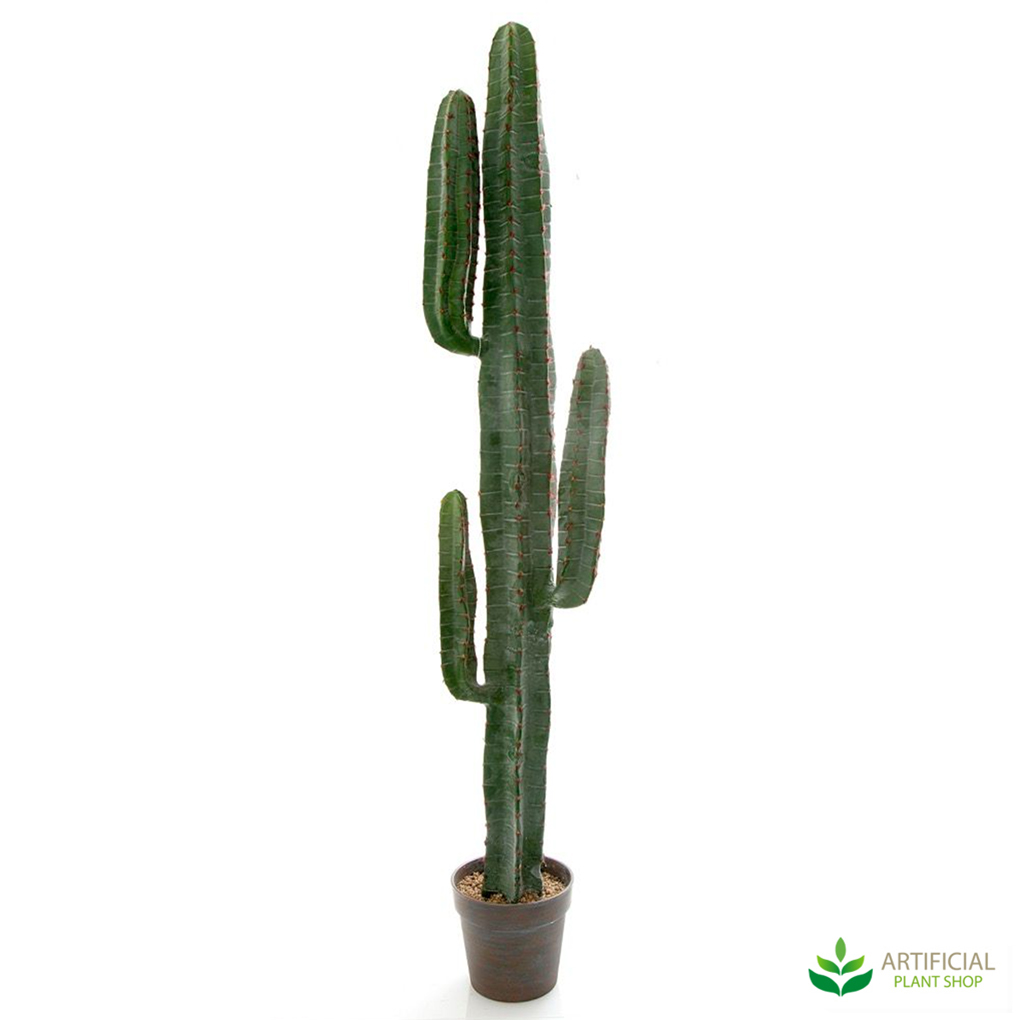 artificial cacti