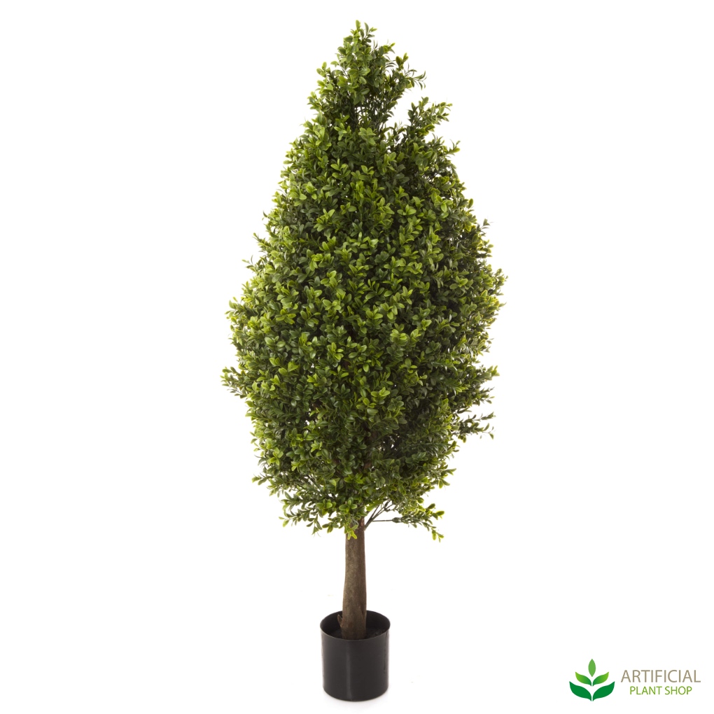 Boxwood Cone Topiary 90cm