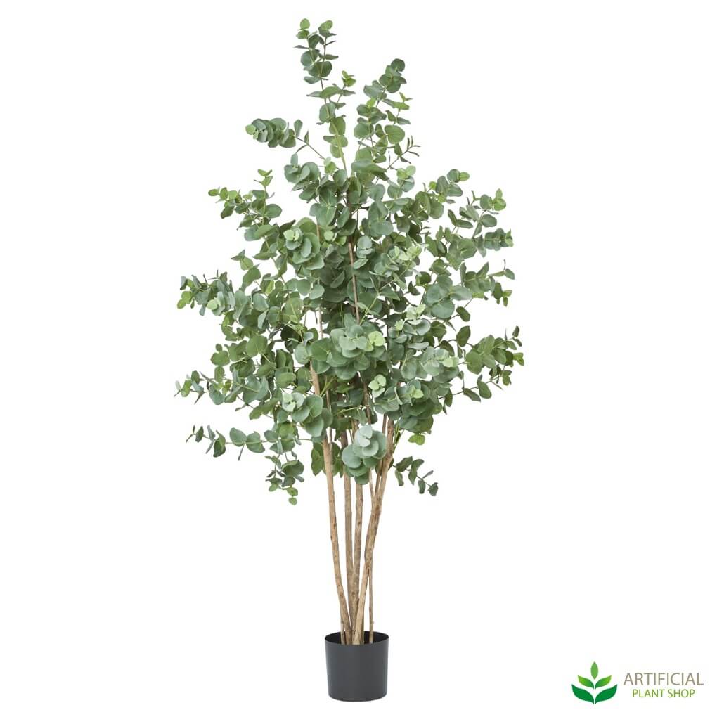 faux eucalyptus