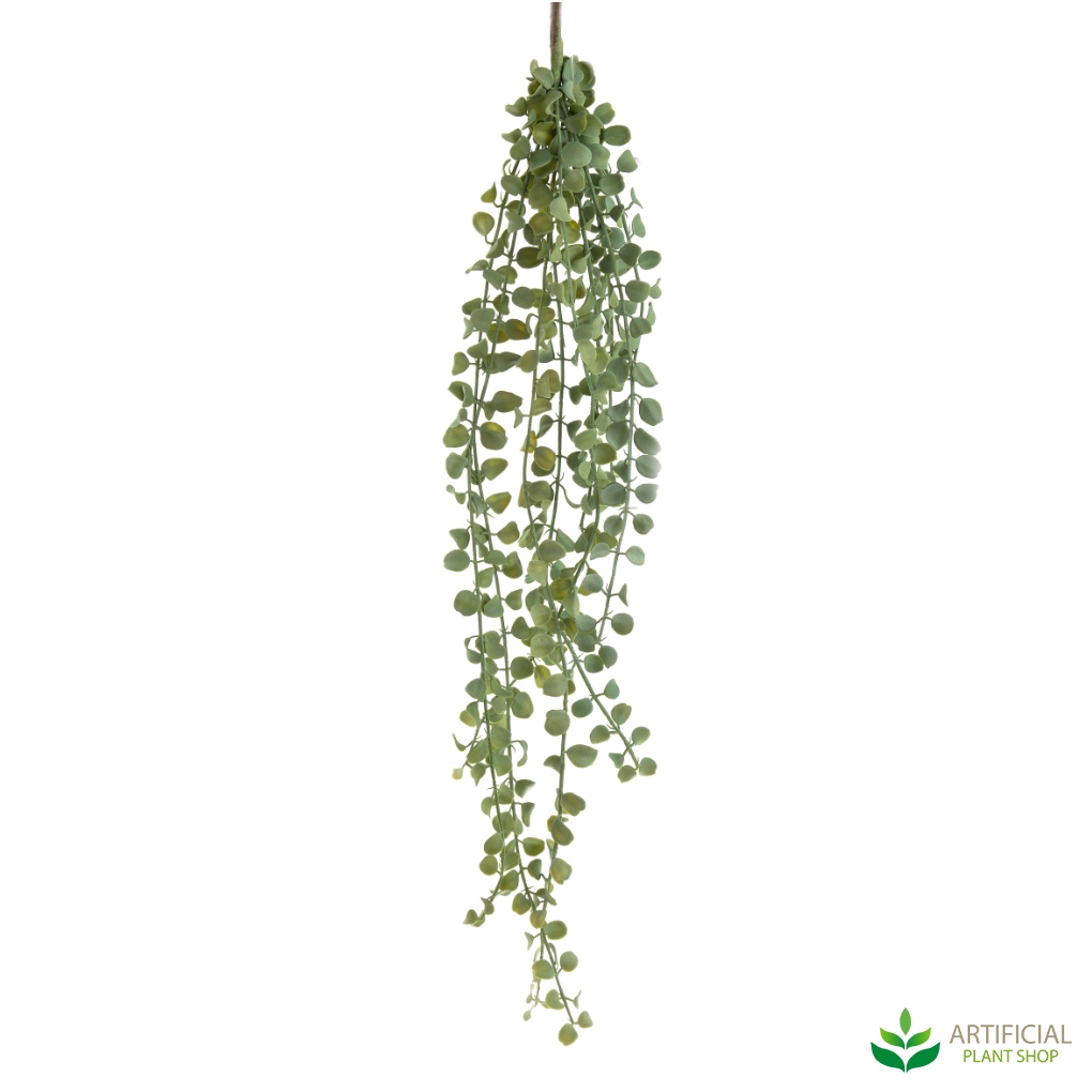 Succulent Hanging Vine 85cm (pack of 12)