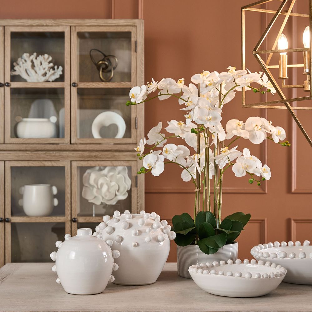 white orchid in situ