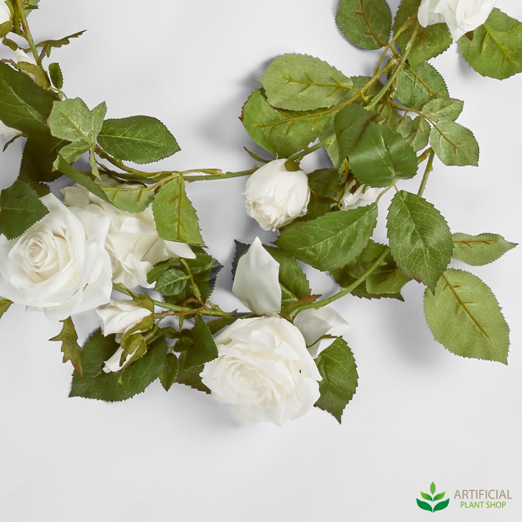 white roses with green leaves