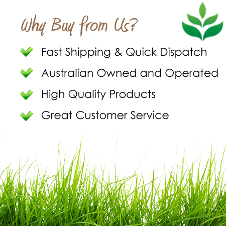 Green Eucalyptus Bush 80cm (pack of 6)