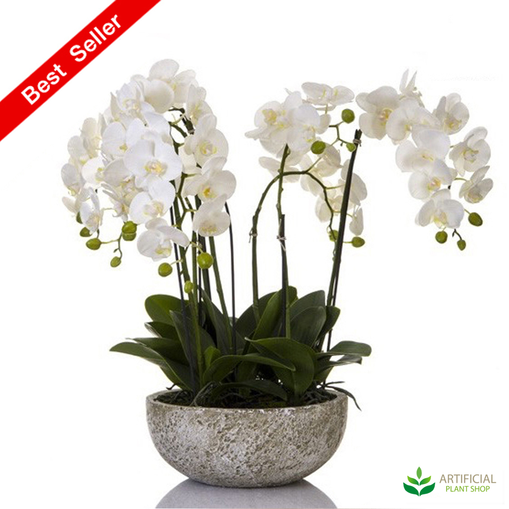 Artificial Orchid in Round Clay Pot 62cm