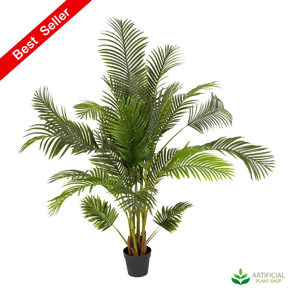 What Are the Best Indoor Palms? Artificial Plant Shop