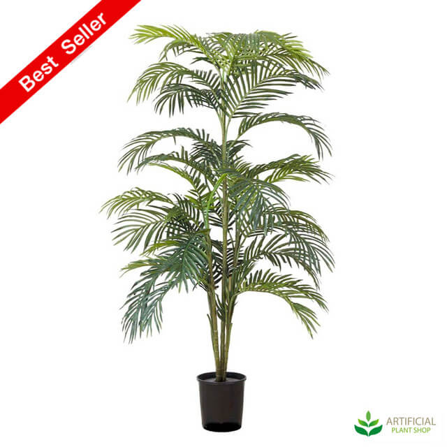 What Are the Best Indoor Palms? Artificial Plant Shop