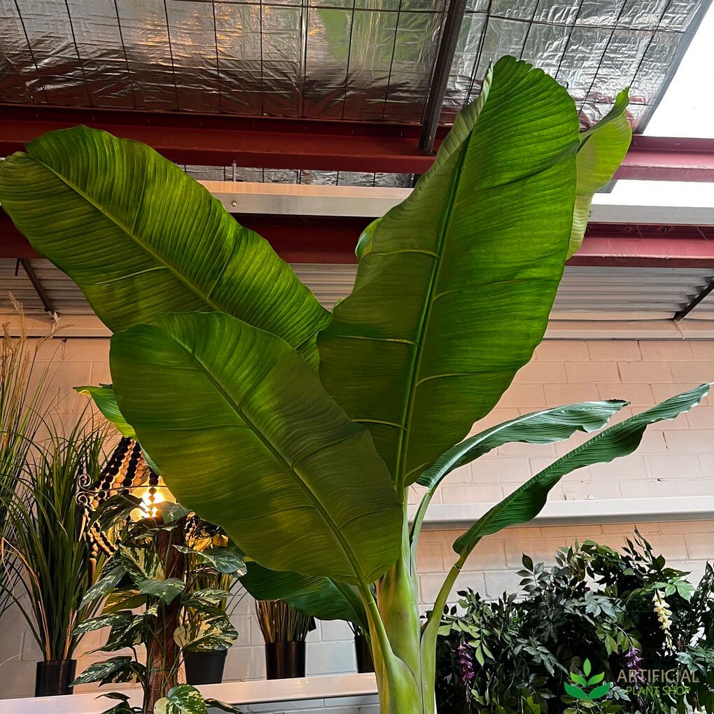 Amazing Large Fake Plants for Your Living Room Artificial Plant Shop