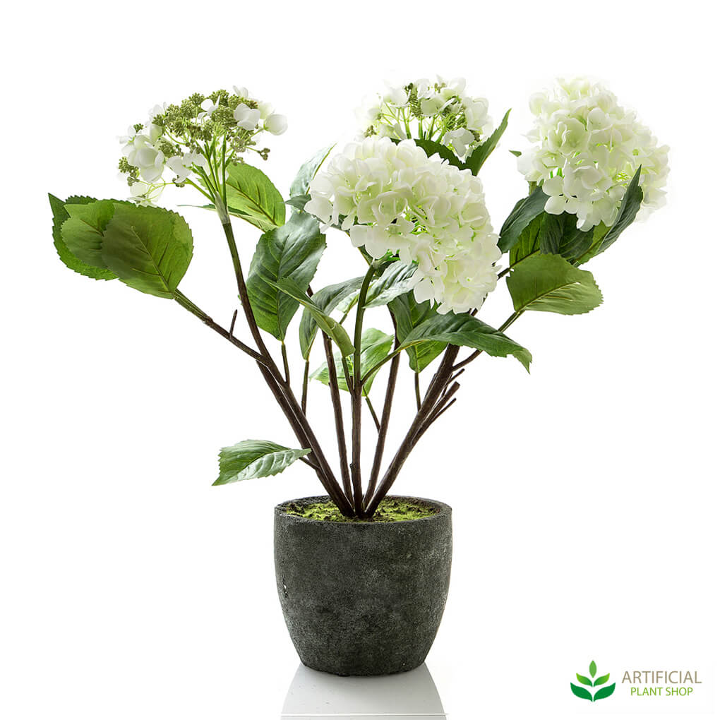 Artificial Plant Shop and Kmart Fake Plants just don't compare