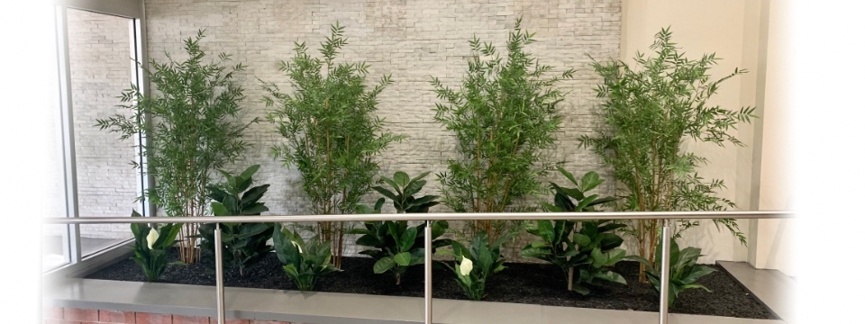 Artificial Bamboo Trees by Artificialplantshop.com.au