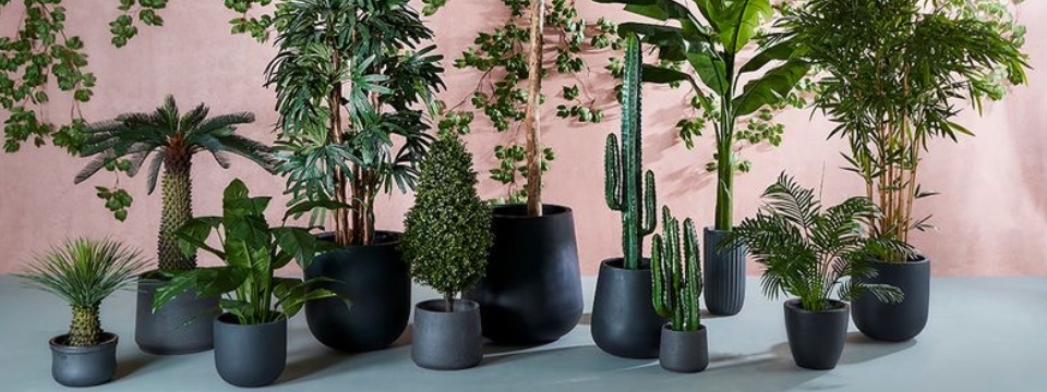 Artificial Cactus by Artificialplantshop.com.au