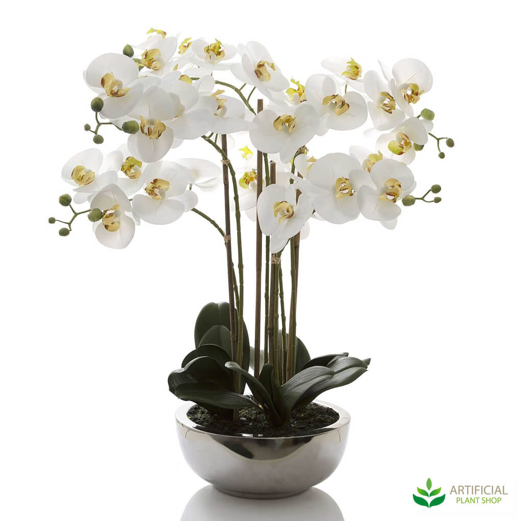 What Do We Have that the Bunnings Artificial Plant Department Doesn’t