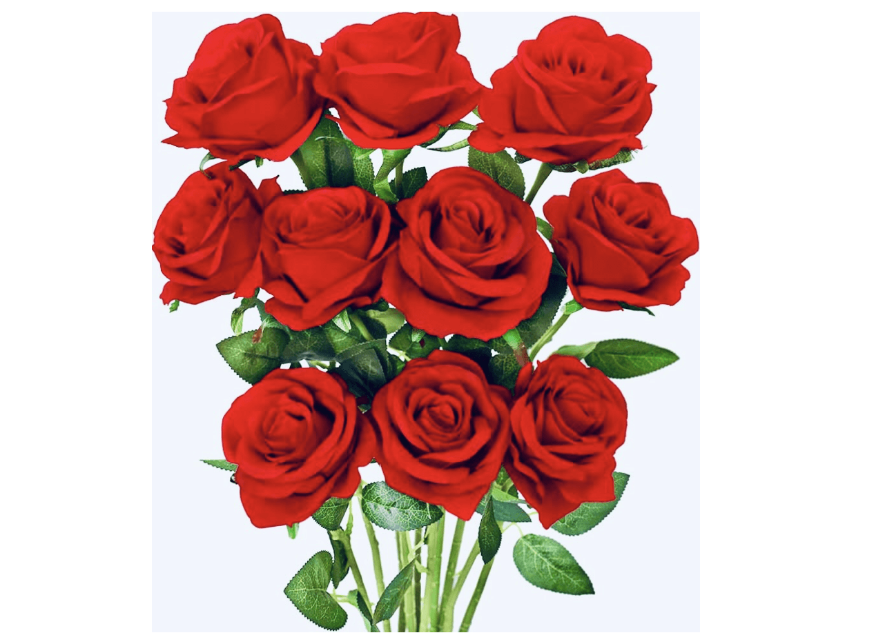 How Long Do Silk Roses Last? Artificial Plant Shop
