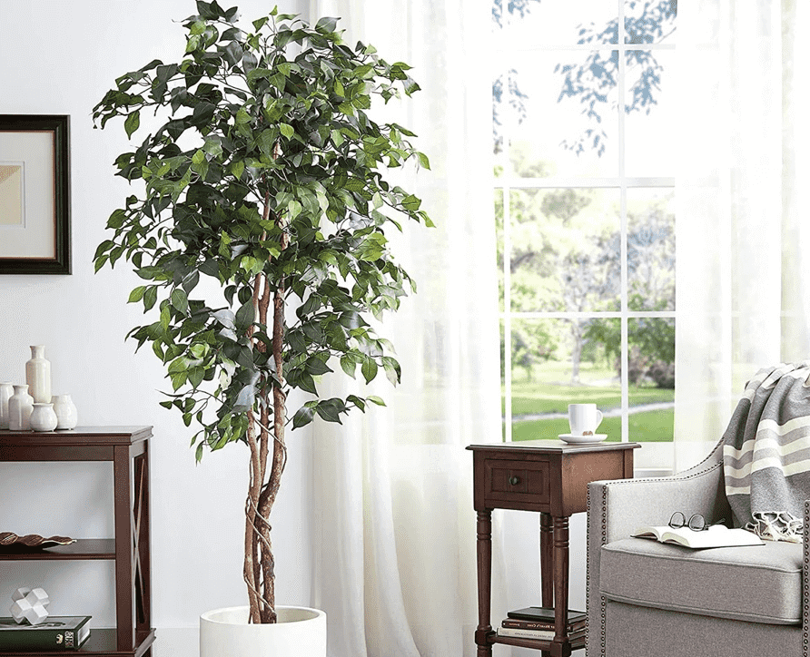 Artificial Plants for Living Room Artificial Plant Shop
