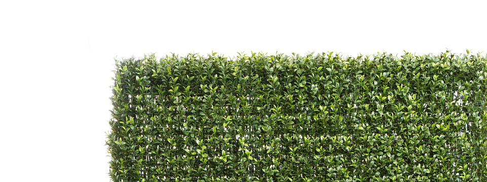 Artificial Hedges by Artificialplantshop.com.au