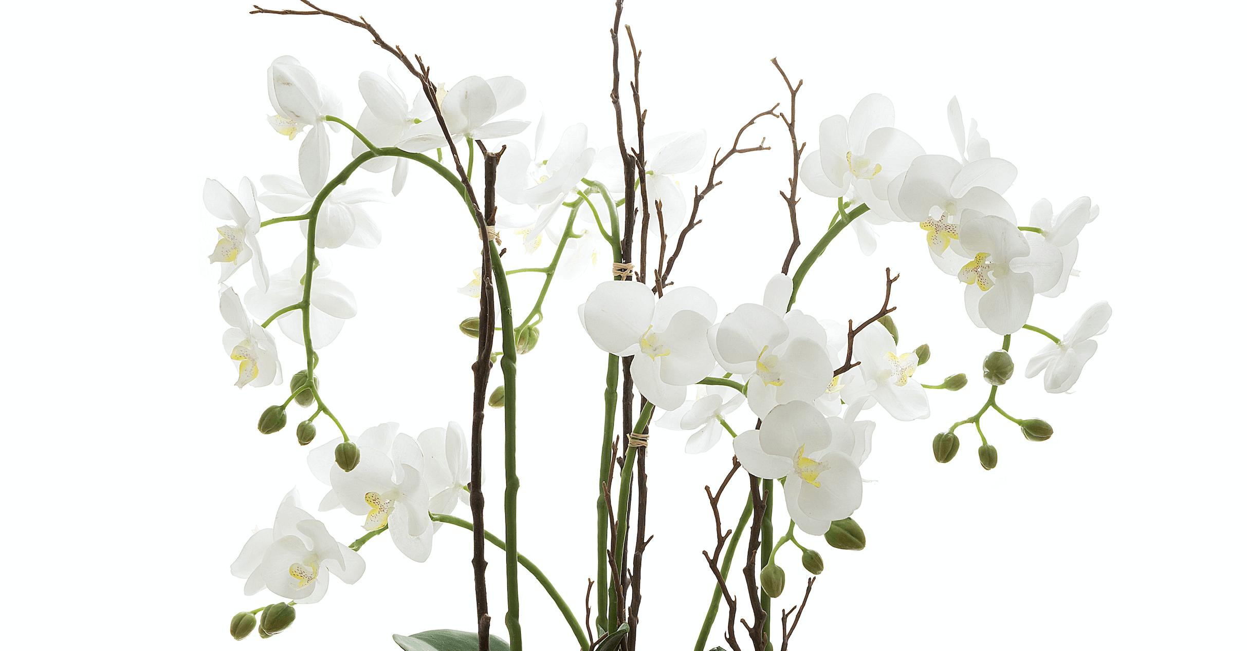 What artificial flowers look the most realistic? Artificial Plant Shop