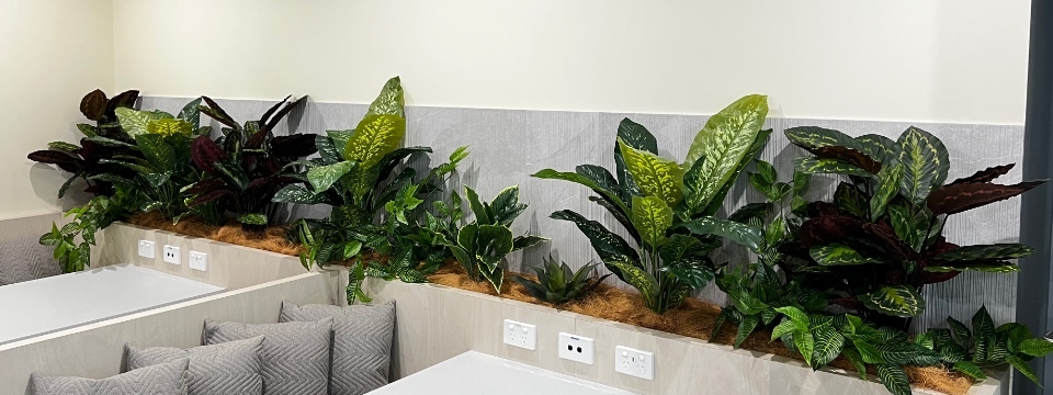 Commercial Favourites by Artificialplantshop.com.au