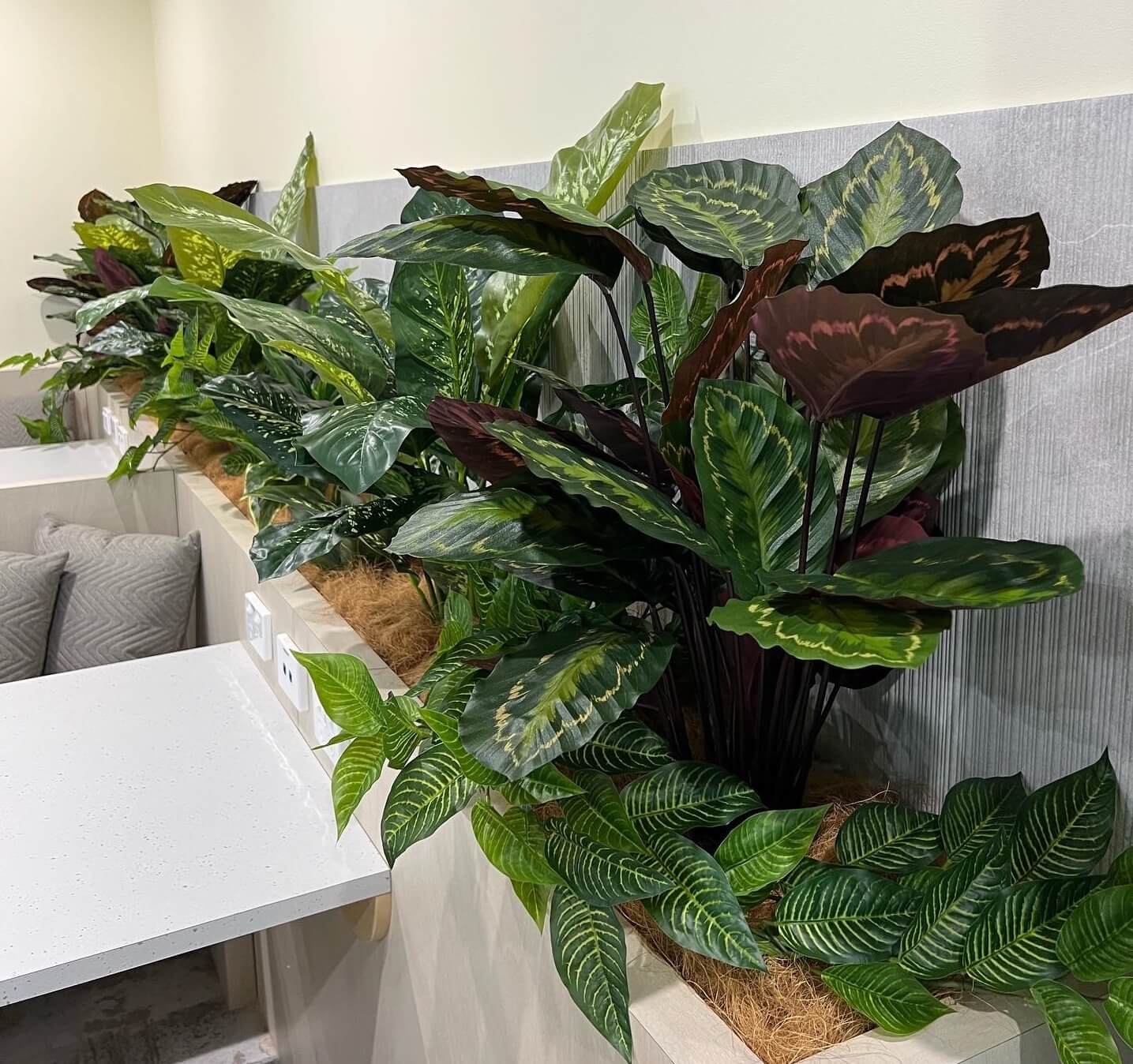 Best Plants for a Front Door Entrance Artificial Plant Shop