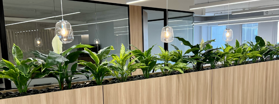 Artificial Office Plants by Artificialplantshop.com.au