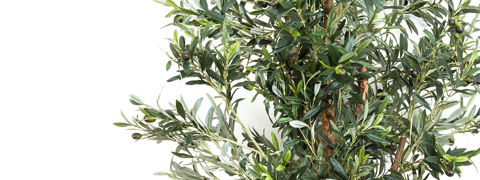 Artificial Olive Trees by Artificialplantshop.com.au