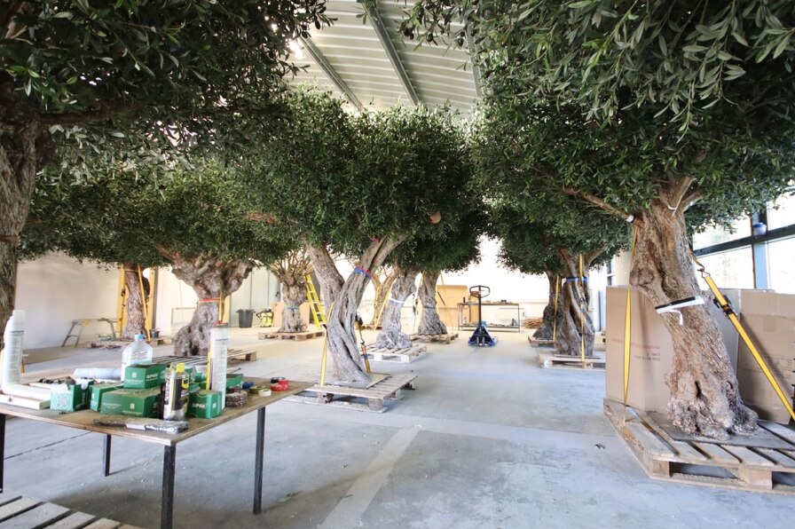 Best Large Artificial Plants for Indoors Artificial Plant Shop