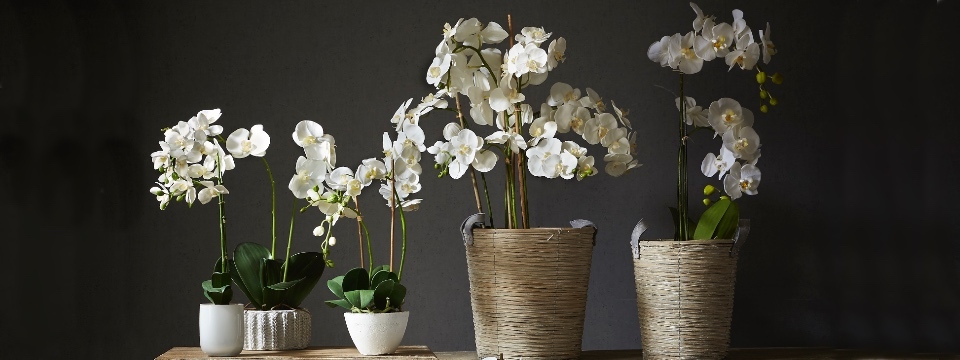 Artificial Flowers by Artificialplantshop.com.au