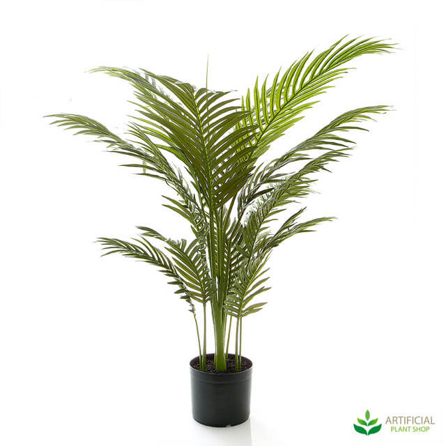 What Are the Best Indoor Palms? Artificial Plant Shop
