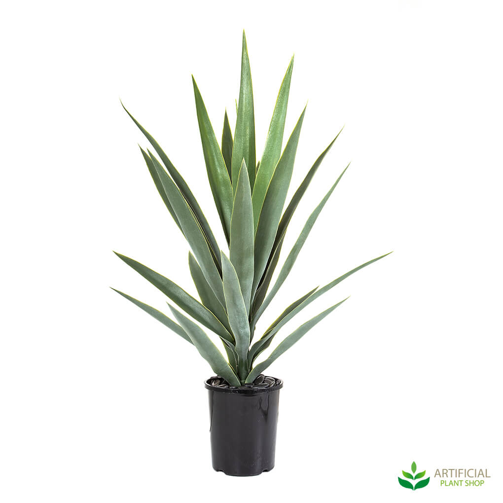 Why every office needs a Yucca Plant - Artificial Plant Shop