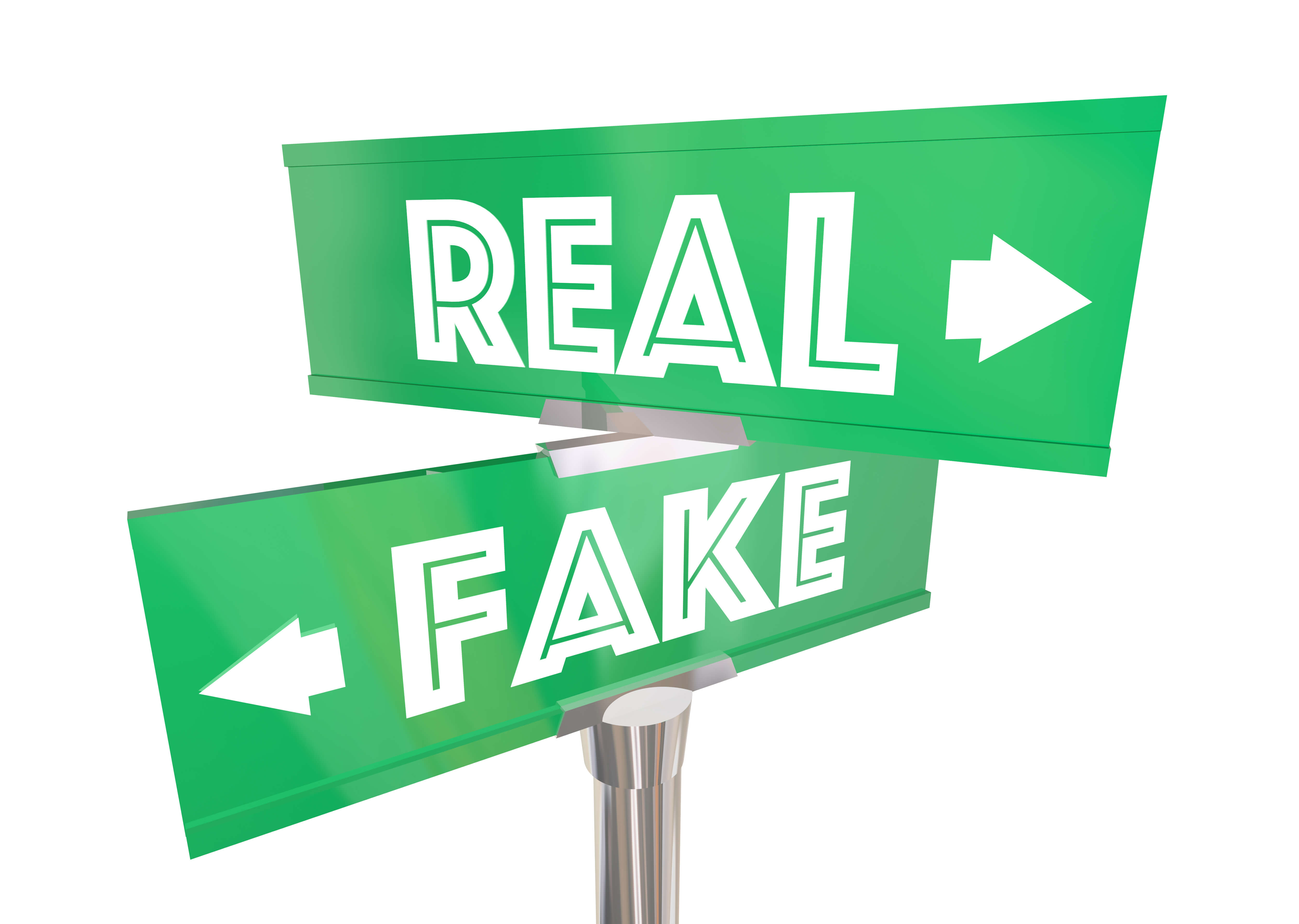 What are the Most Natural Looking Artificial Plants? Artificial Plant