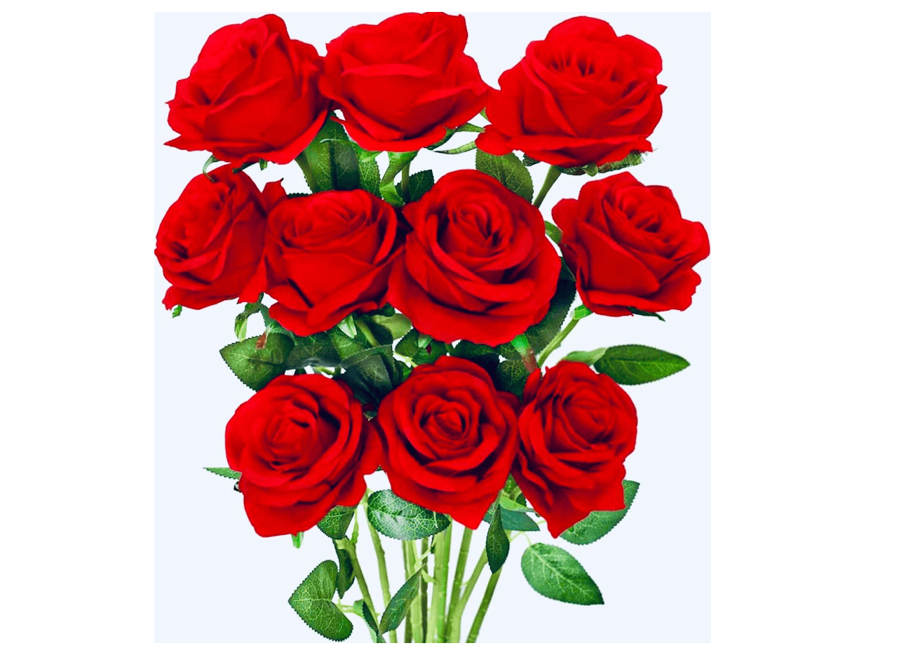 How Long Do Silk Roses Last? Artificial Plant Shop