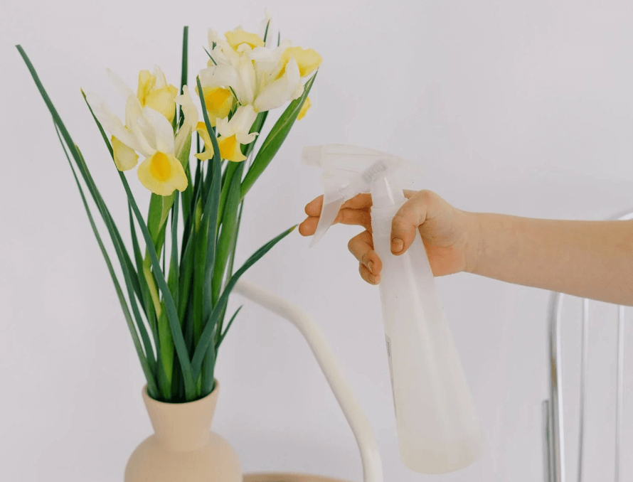 How Do You Preserve Fake Flowers Outside? Artificial Plant Shop