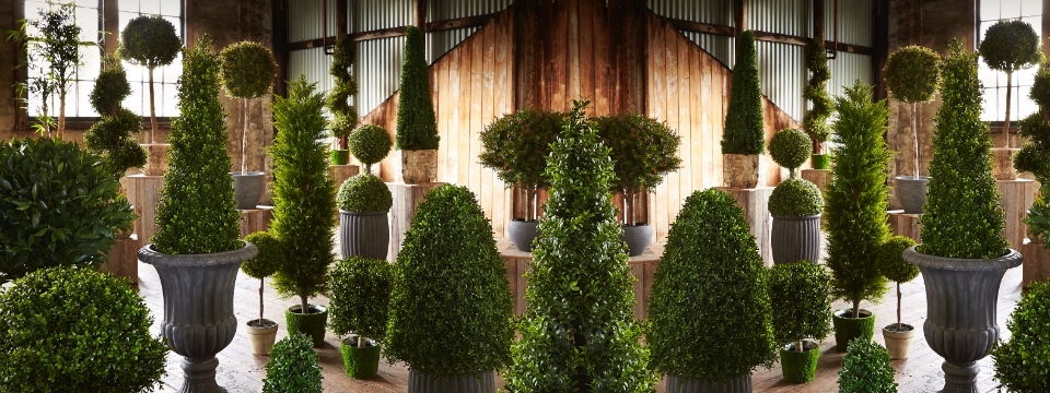 Artificial Trees by Artificialplantshop.com.au