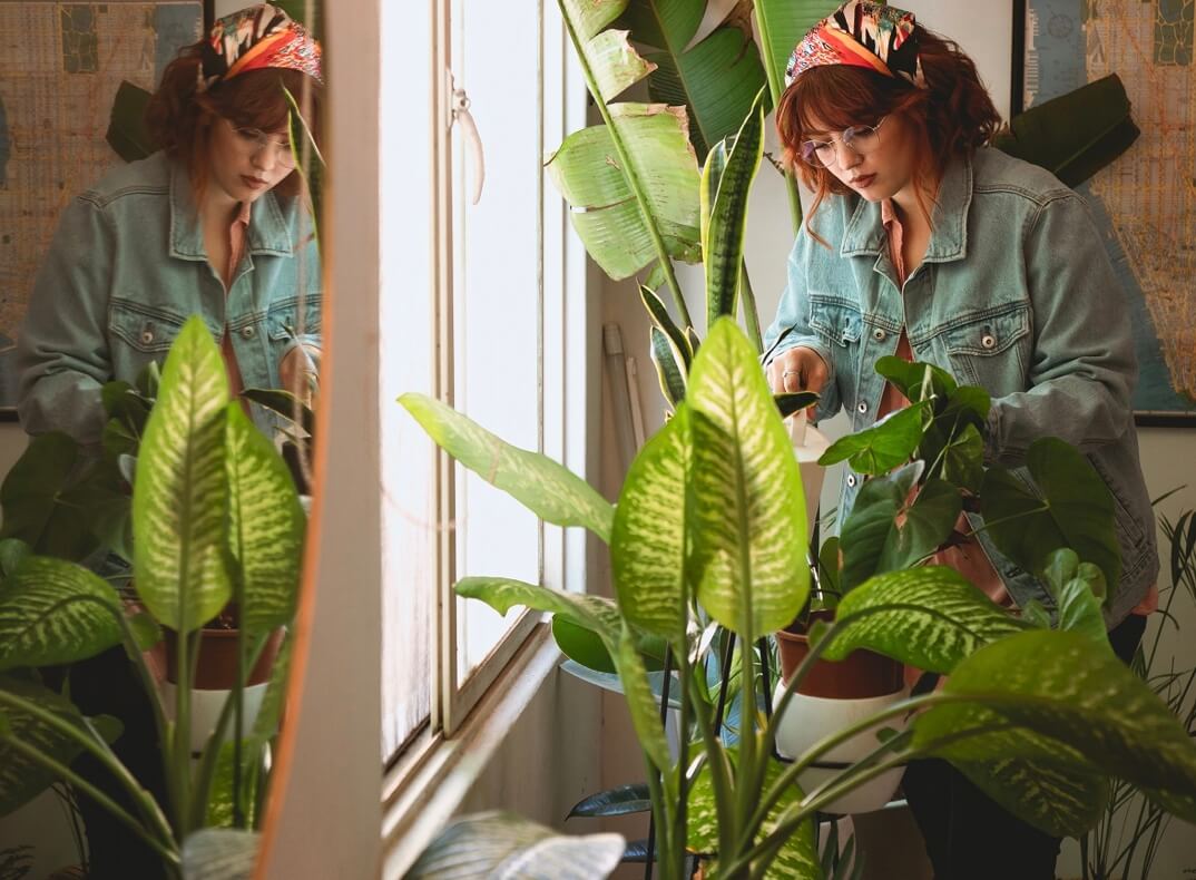 Best Large Artificial Plants for Indoors Artificial Plant Shop