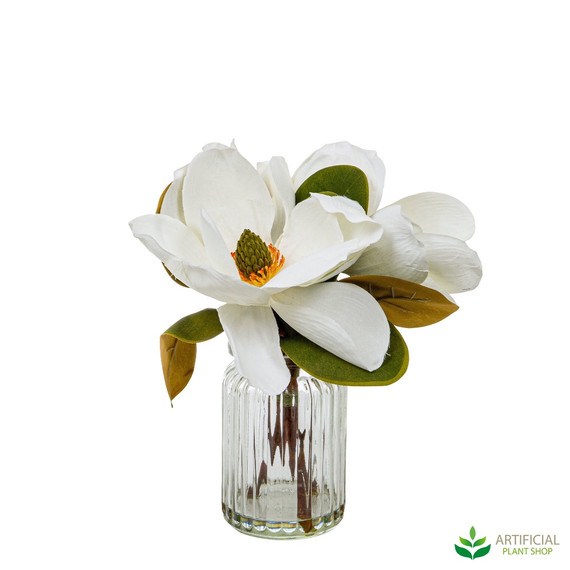 Little Magnolias in Vase 30cm