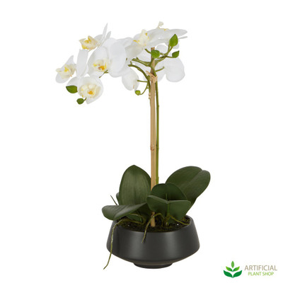 artificial white orchid in a black pot