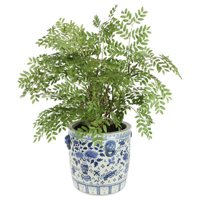 Potted Leaf Arrangement 1.1m