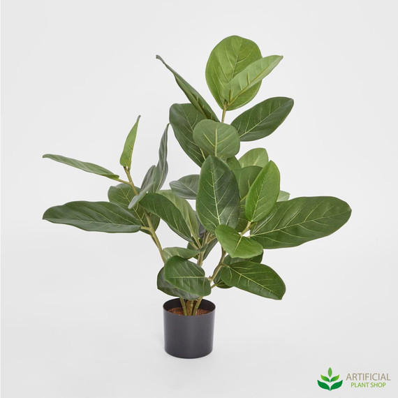 Ficus 64cm - Artificialplantshop.com.au