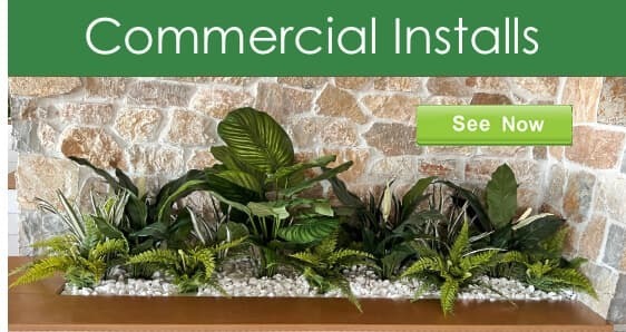 Commercial Plants