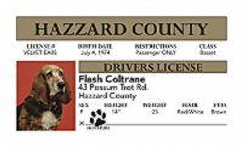 "Flash" Novelty Driver License