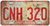 Rustic CNH 320 License Plate (General Lee Plate)
