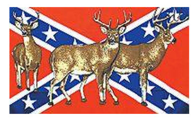 rebel flag deer skull