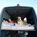 Mercedes Sprinter 144" Full Flares | Full Depth, Slider or Awning Window, Solid Passenger