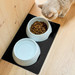 Silwy porcelain pet bowls on their mat beside a cat