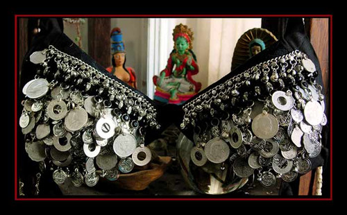 Raj Coin Bra