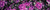 20 Yard Floral Flounce Skirt