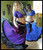 colorful spinning skirt