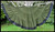 black diamond skirt -olive