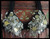 Hearts and Medallions Bra